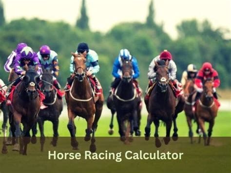 pick 6 horse racing calculator|Horse Racing Calculator.